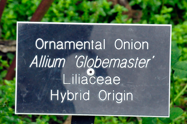 Ornamental Onion sign